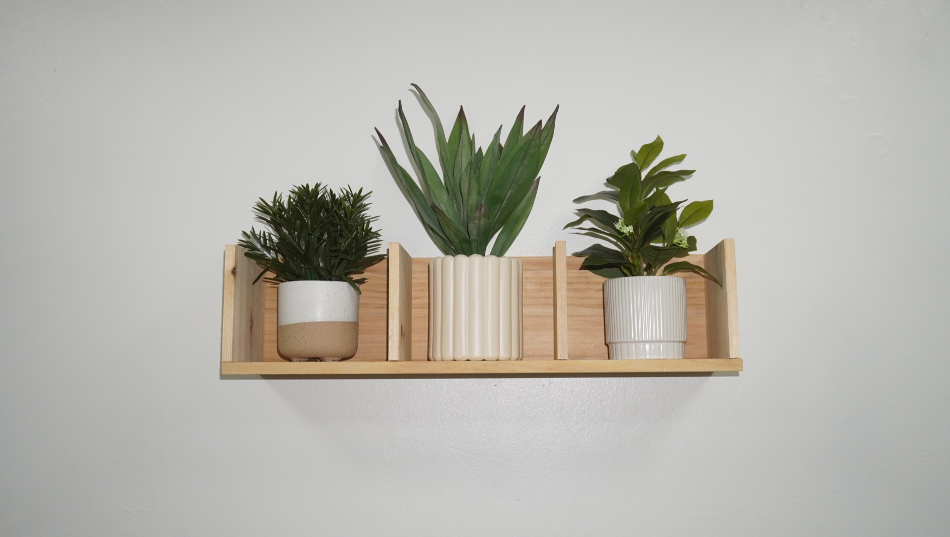 Detalle decorativo: repisa con plantas en YESODS